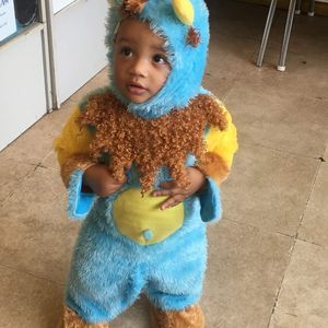 Meet your Posher, Benjamin